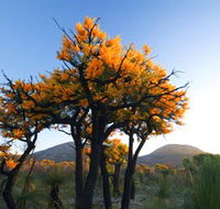 Cape Le Grand National Park - Holiday Adelaide