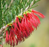 Ethel Daw Scenic Drive - Holiday Adelaide