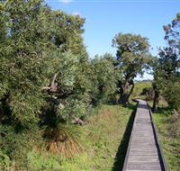 Kepwari Trails Wetland Wonderland - Holiday Adelaide