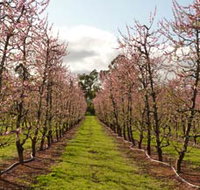 Raeburn Orchards - Holiday Adelaide