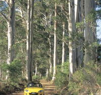 Scotsdale Tourist Drive - Holiday Adelaide