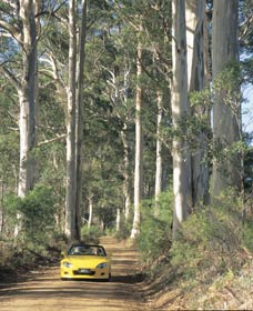 Scotsdale Tourist Drive - Holiday Adelaide 0
