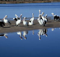 Peel Region Canoe Trails - Holiday Adelaide