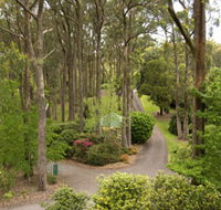 Mount Lofty Botanic Garden - Holiday Adelaide