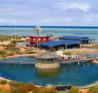 Ocean Park Aquarium - Holiday Adelaide
