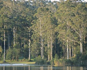 Big Brook Dam - Holiday Adelaide 0