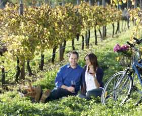 Swan Valley Heritage Cycle Trail - Holiday Adelaide 0