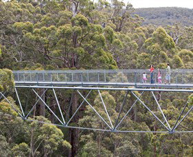 Walpole Wilderness Discovery Centre - Holiday Adelaide 0