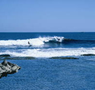 West End - Holiday Adelaide