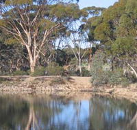 Merredin Railway Dam - Holiday Adelaide