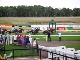 Pinjarra Race Club - Holiday Adelaide 0