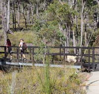 Forest Path Crooked Brook - Holiday Adelaide