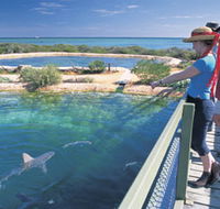 Shark Bay Marine Park - Holiday Adelaide
