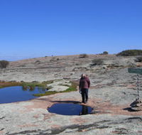 Dingo Rock - Holiday Adelaide