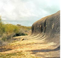 Totadgin Dam Reserve - Holiday Adelaide