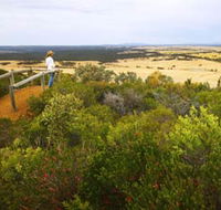 Archer Drive Scenic Drive and Lookout - Holiday Adelaide