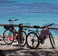 Parker Point Marine Snorkel Trail - Holiday Adelaide