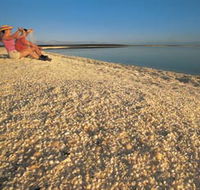 Shell Beach - Holiday Adelaide