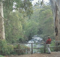 Cascades - Holiday Adelaide