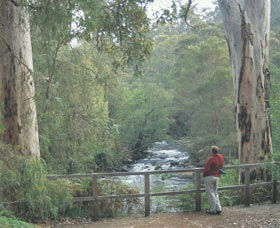 Cascades - Holiday Adelaide 0