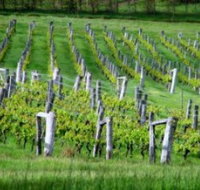 Sienna Estate Winery - Holiday Adelaide