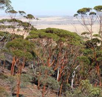 Mount Matilda Walk Trail Wongan Hills - Holiday Adelaide