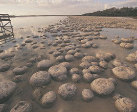 Yalgorup National Park - Holiday Adelaide 0