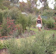 The Mythic Mazes - Holiday Adelaide