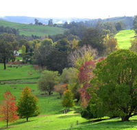Golden Valley Tree Park - Holiday Adelaide