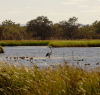 Anytime Adventures in Mandurah  the Peel Region - Holiday Adelaide