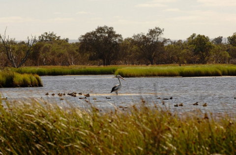 Anytime Adventures In Mandurah & The Peel Region - Holiday Adelaide 0