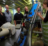Eyre Peninsula's Seafood Trail - Holiday Adelaide