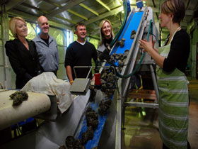 Eyre Peninsula's Seafood Trail - Holiday Adelaide 0