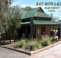 Rain Moth Gallery - Holiday Adelaide