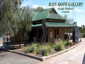 Rain Moth Gallery - Holiday Adelaide 0