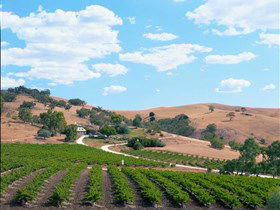 Bethany Wines - Holiday Adelaide 0