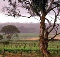 Yangarra Estate Vineyard - Holiday Adelaide
