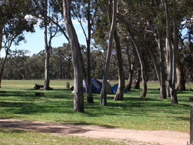 Naracoorte SA Holiday Adelaide