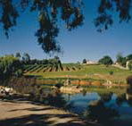 Mount Hurtle Winery home of Geoff Merrill Wines - Holiday Adelaide