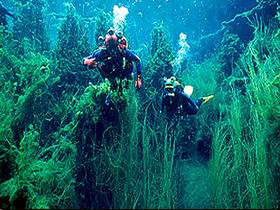 Port Macdonnell SA Holiday Adelaide