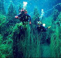 Ewens Ponds Conservation Park - Holiday Adelaide