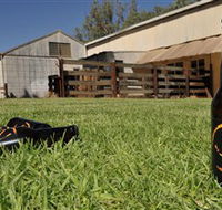 Wilkadene Woolshed Brewery - Holiday Adelaide