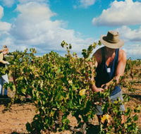 Torbreck Vintners - Holiday Adelaide