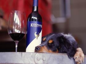 Koonara Wines - Holiday Adelaide 0