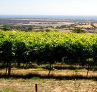 Braydun Hill Vineyard - Holiday Adelaide
