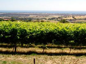 Braydun Hill Vineyard - Holiday Adelaide 0