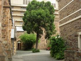 Flinders Street Baptist Church - Holiday Adelaide 0