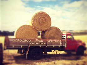 Moorooroo Park Vineyards - Holiday Adelaide 0