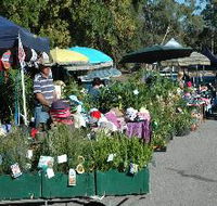 Meadows Monthly Market - Holiday Adelaide
