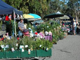 Meadows Monthly Market - Holiday Adelaide 0